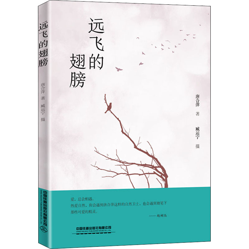 音像远飞的翅膀唐合萍