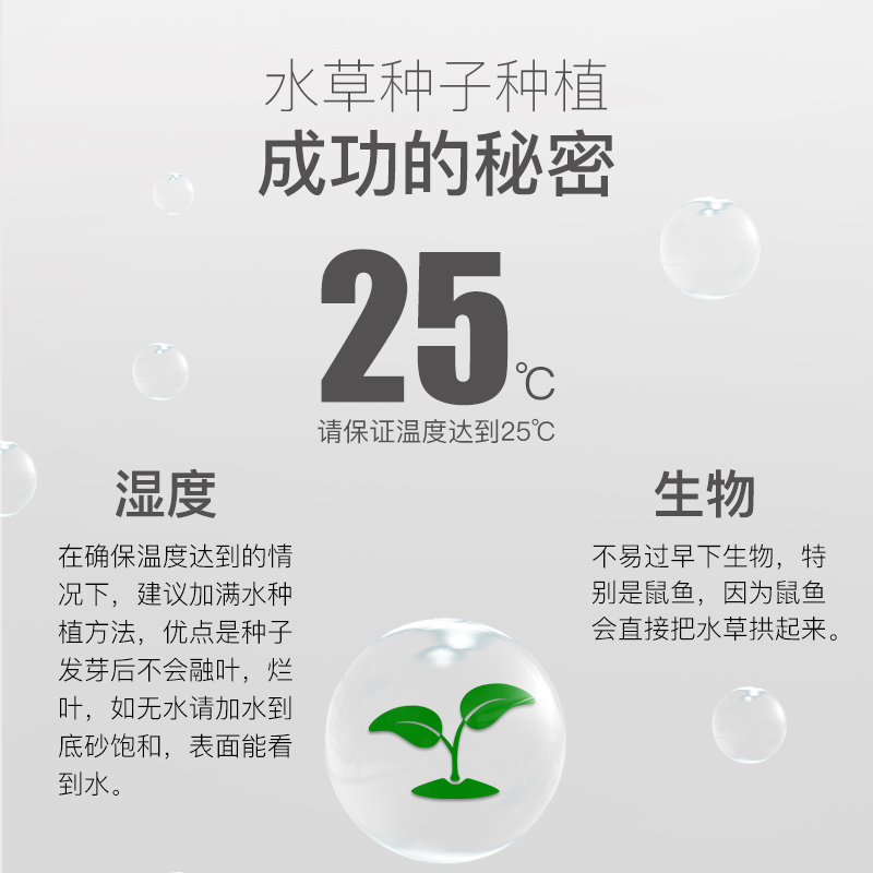 鱼缸水种子装饰水泥真水造景水懒人水前景水植物高清大图