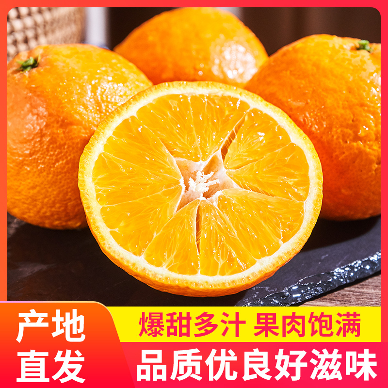 [五个农民]爱媛28号象山红美人柑橘富含维C净重5斤小果礼盒装(约15个) 应季水果 新鲜采摘 产地直发