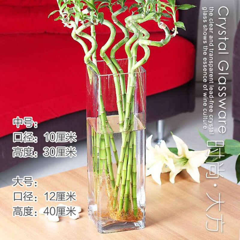 18新款透明水晶玻璃花瓶百合富贵竹仿真花器方口圆口竖条缸