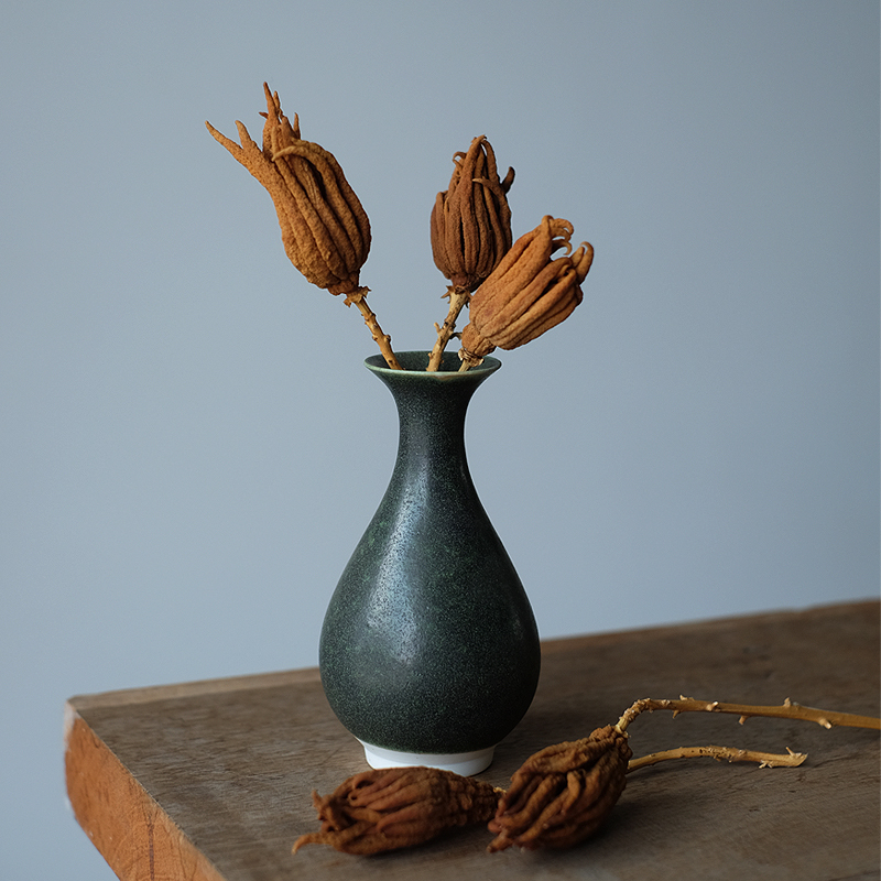 金华佛手带枝果佛手水养小佛手青果水培佛手柑金佛手果清供插花果