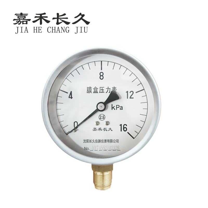 嘉禾长久 膜盒压力表检测型 YE100 块 0-16Kpa