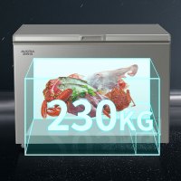 澳柯玛冷柜BC/BD-309KH银河灰