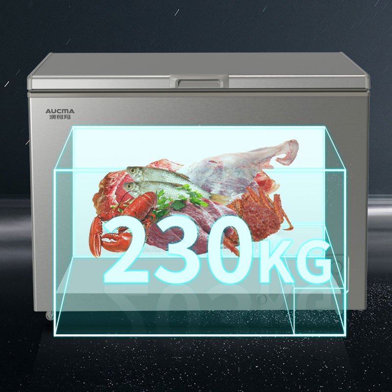 澳柯玛冷柜BC/BD-309KH银河灰