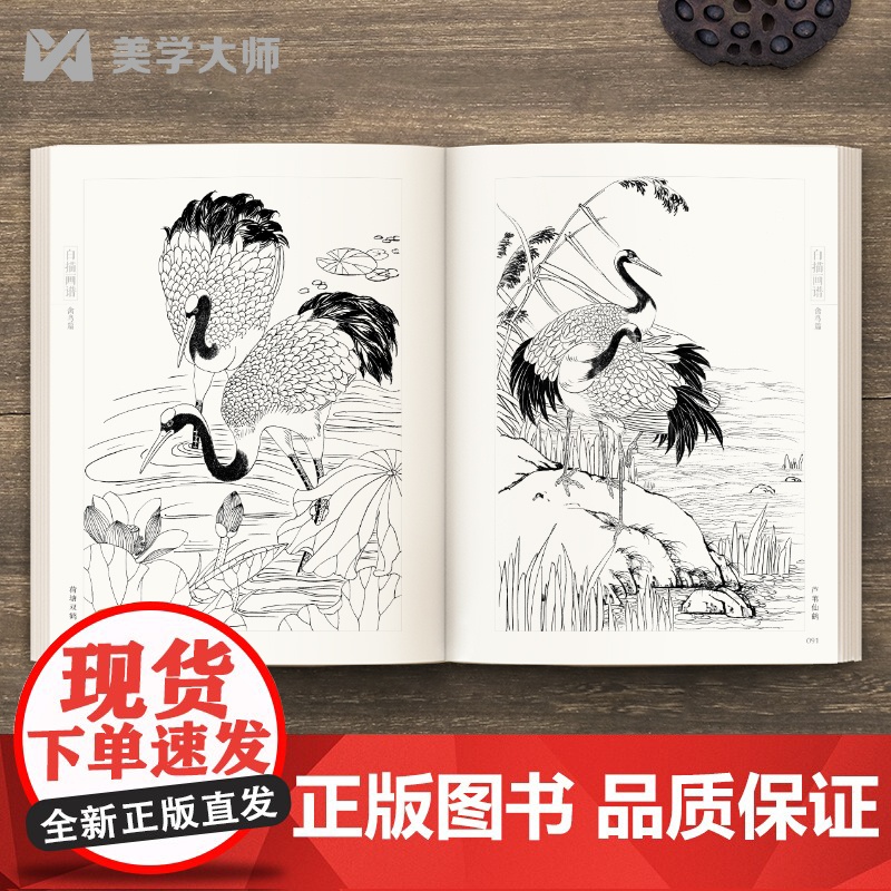 白描画谱 禽鸟篇 中国工笔技法画册集书籍入门初自学者零基础教程材成人手绘临摹勾线名家底稿图大全美术绘画高清大图