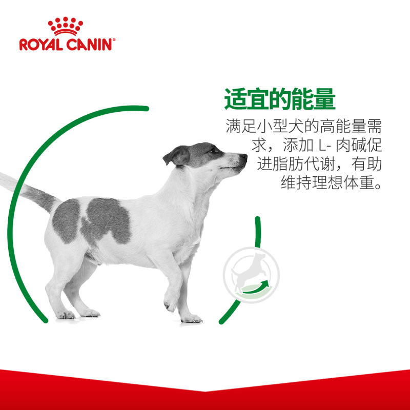 ROYAL CANIN 皇家狗粮 PR27小型犬成犬狗粮 10月龄以上 全价粮 2kg 贵宾泰迪比熊雪纳瑞 健康被毛