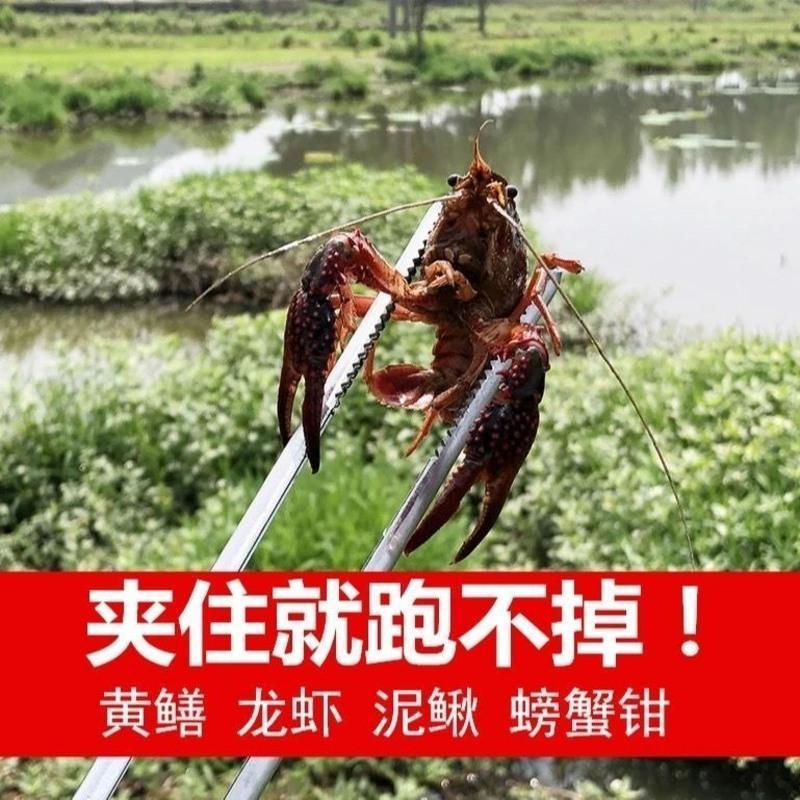 黄鳝夹鳝鱼钳抓鱼泥鳅龙虾黄善螃蟹夹子钳子防滑专用工具赶海神器 [推荐菜市场使用]塑柄直口29cm