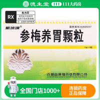 紫琉璃 参梅养胃颗粒 16g*9袋/盒