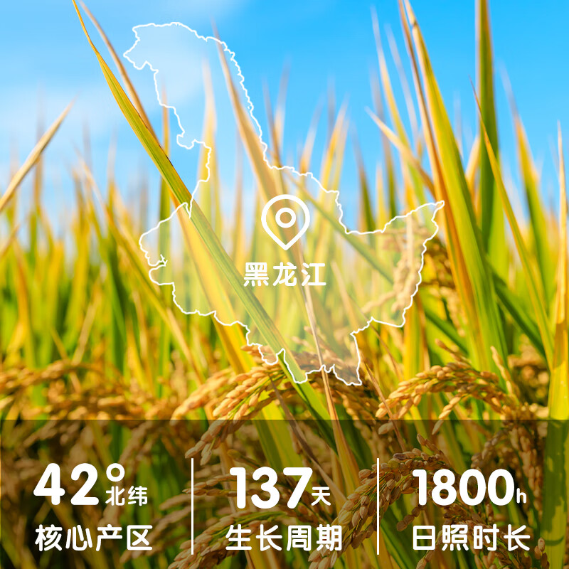 咪然 天然鸭稻米 5kg(单位:袋)真空包装 新老包装随机发货高清大图