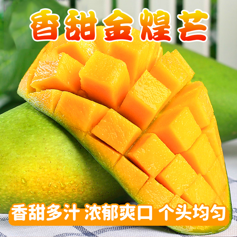[西沛生鲜]海南新鲜金煌芒 精品 带箱5斤 中果 单果300-400g左右 热带水果 香甜可口