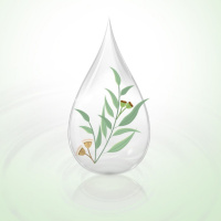 皎洁 驱蚊喷雾100ml/瓶