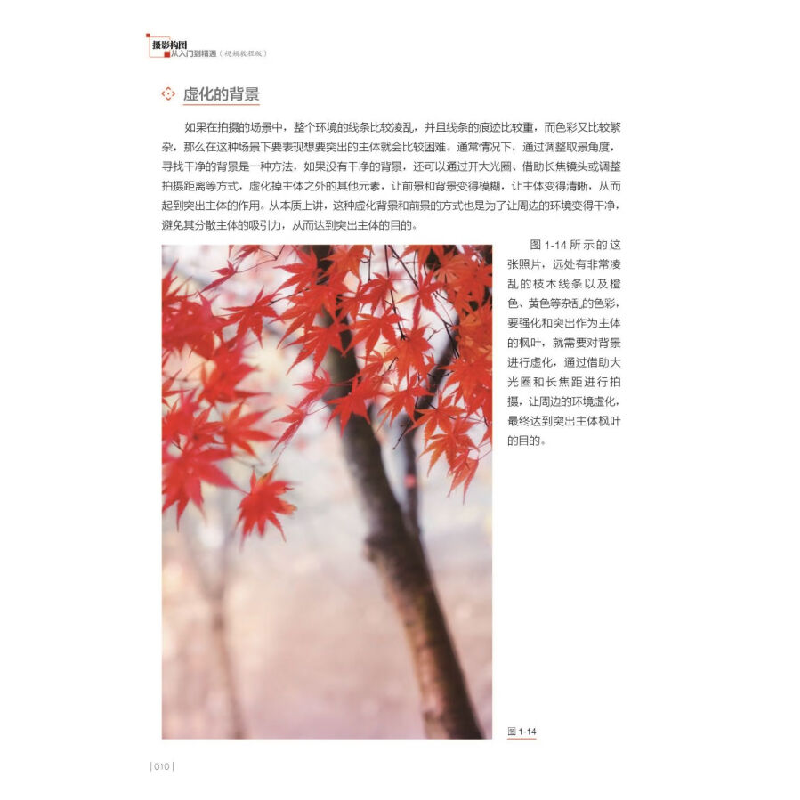 正版新书]摄影构图从入门到精通(视频教程版)视觉中国,500px高清大图