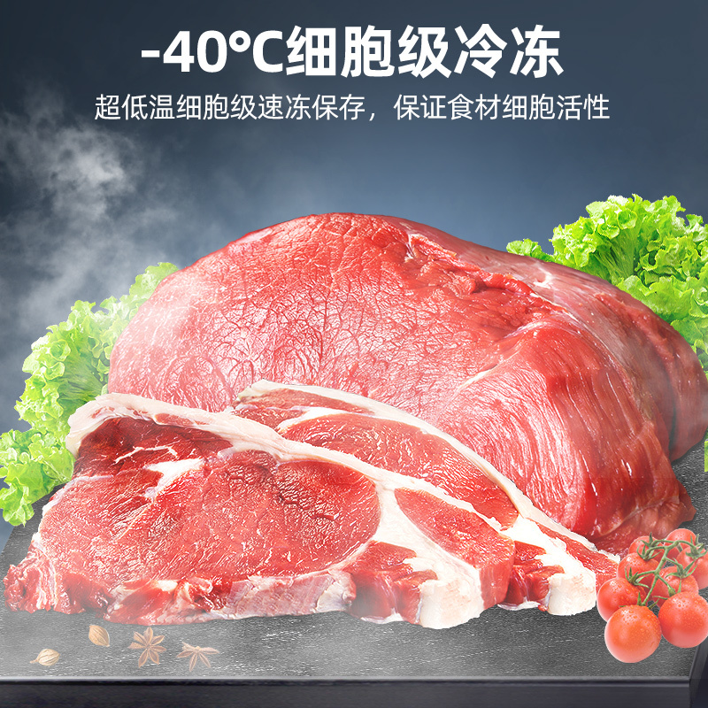 星星(XINGX)BD/BC-718GS超低温厨房商用保鲜设备卧式冷柜单温冷藏冷冻转换柜家用大容量深冷速冻柜铜管制冷高清大图
