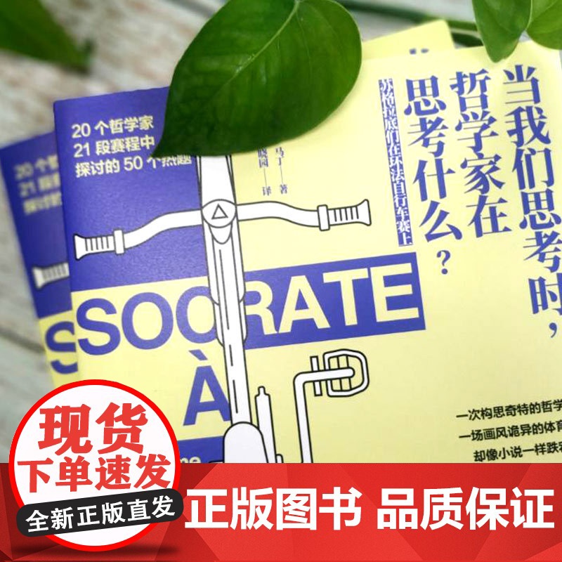 当我们思考时,哲学家在思考什么? 纪尧姆 马丁,凤凰联动 出品 江苏凤凰文艺出版社 正版书籍高清大图