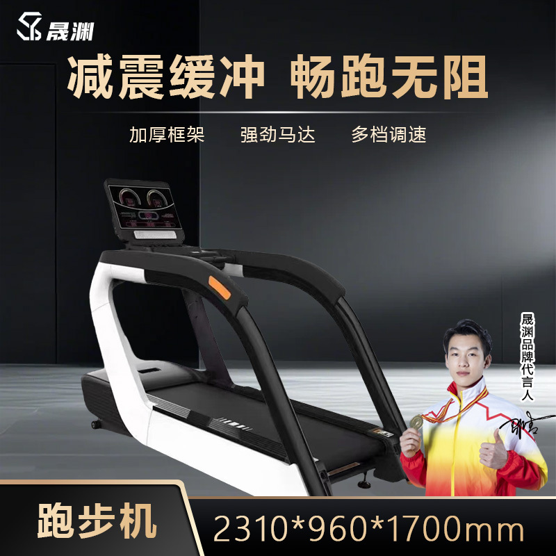 晟渊 跑步机家庭用智能降噪可折叠爬坡走步机宽大跑台YT8001