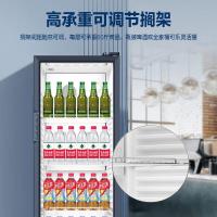 海尔SC-239J239升立式冷藏展示柜_777