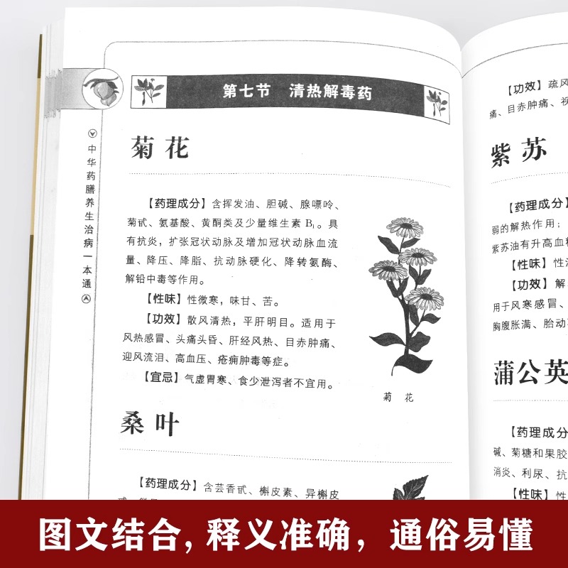 [正版]中华药膳养生治病一本通汤膳药膳食谱JST食疗 中医养生书籍大全 常见中药材功效解读中药知识入门对症调理养生食疗高清大图