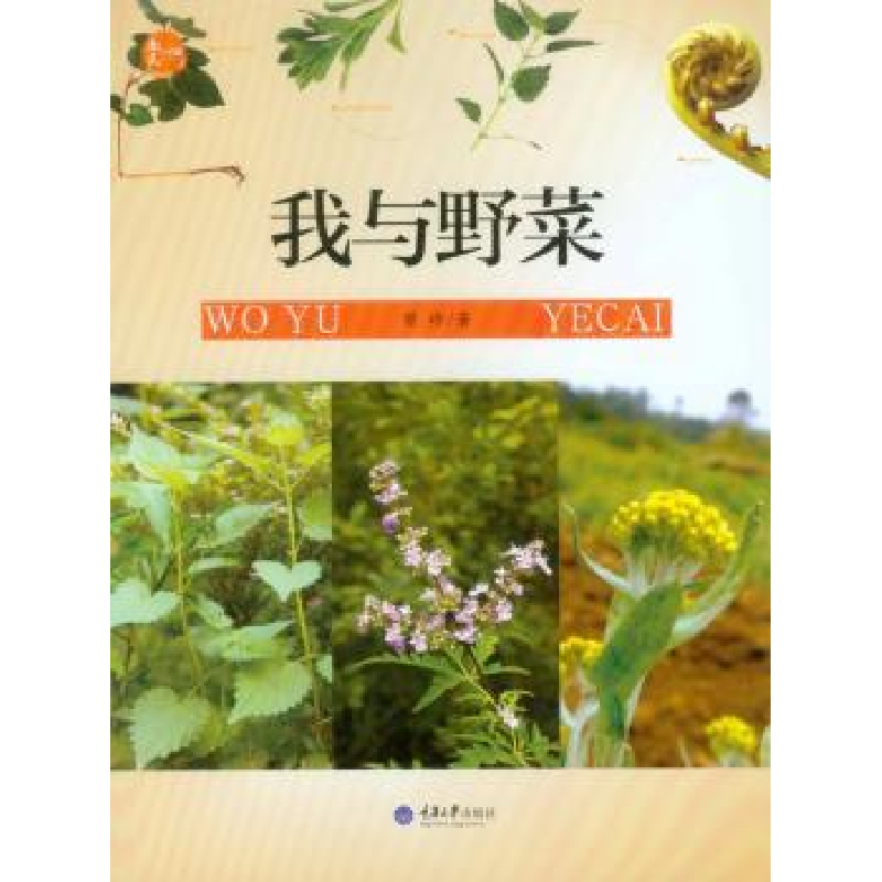 诺森我与野菜曾珍著9787562481126重庆大学出版社