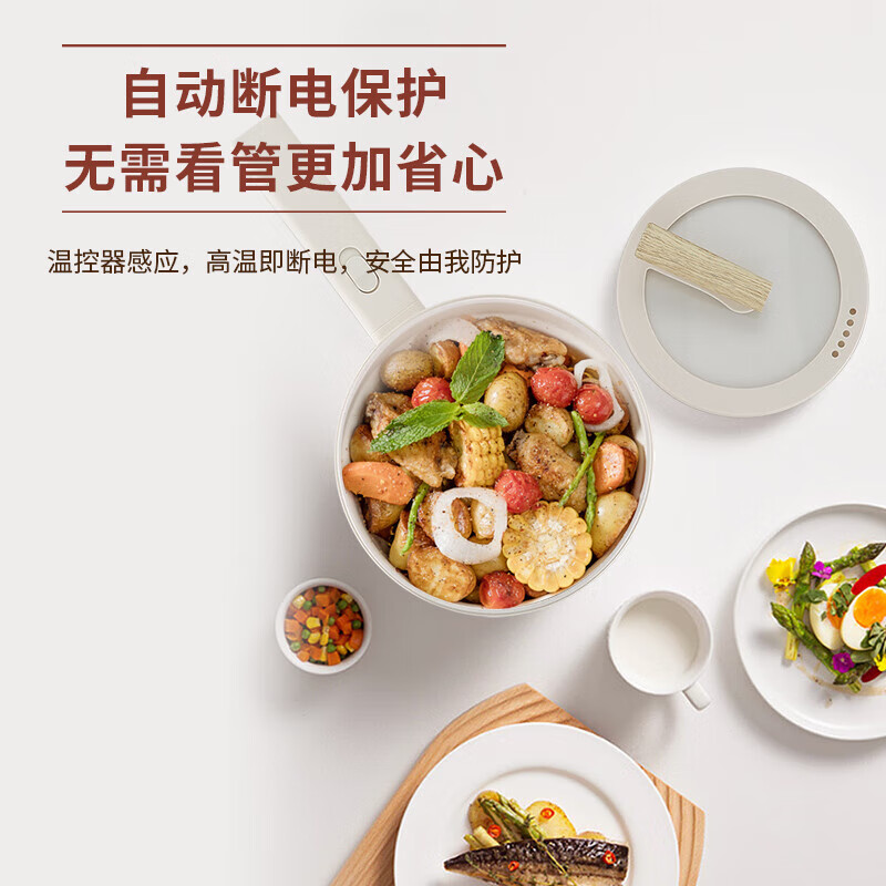 ABL-DZ21艾贝丽电煮锅(带蒸笼)高清大图