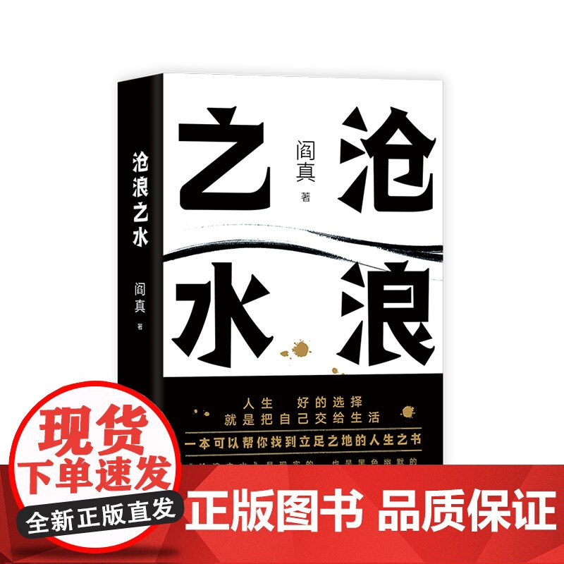 沧浪之水 阎真 中国现当代小说 爱情小说 现当代小说书籍 阎真 活着之上排行榜书籍篇小说 官场小说高清大图