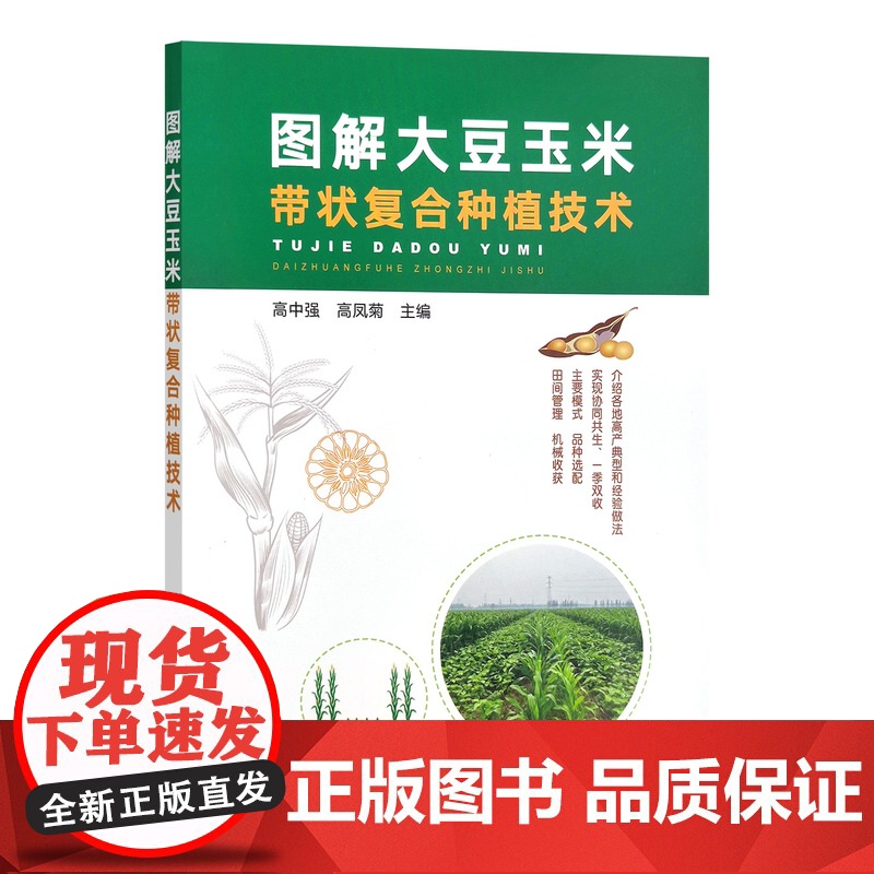 图解大豆玉米带状复合种植技术 307650 高中强,高凤菊 农业栽培技术 2023-05高清大图