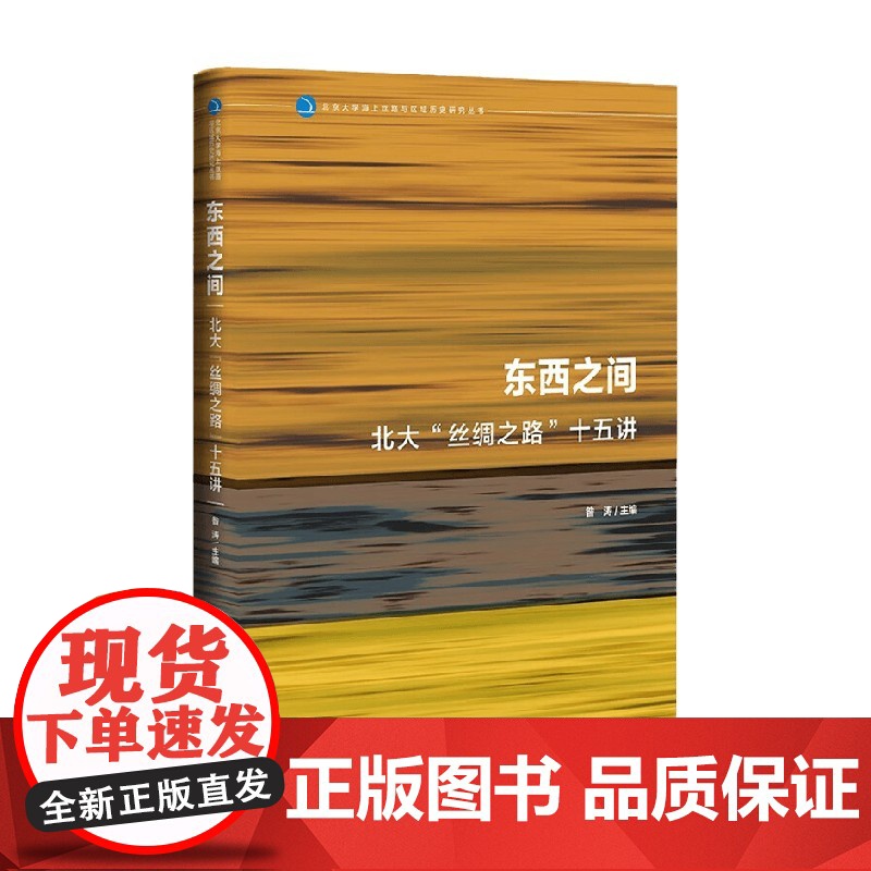 东西之间 昝涛 著 历史