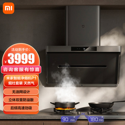 米家智能净烟机P1+定时灶P1天然气
