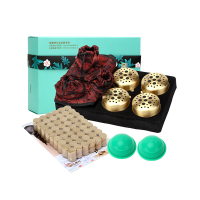 宝康林 无烟艾灸盒装随身灸通用四联纯铜艾柱装家用仪器中医保健驱寒便携式艾灸仪家用熏蒸仪