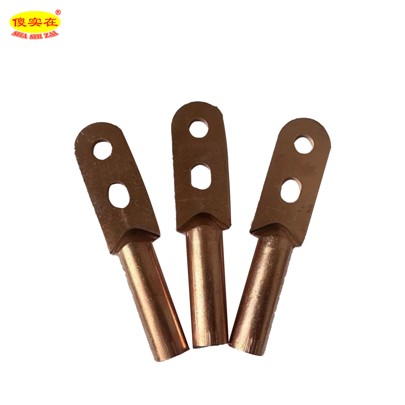 傻实在 铜鼻子 DTS 95mm² 个高清大图