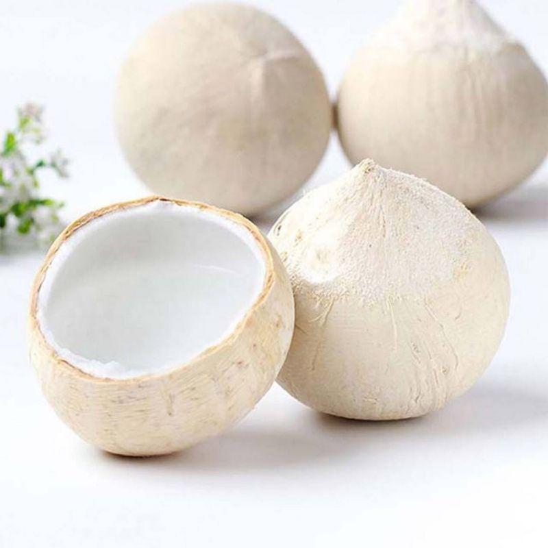 [西沛生鲜]海南牛奶椰皇 4个装大果 单果750-1000g 新鲜椰子 当季热带水果 汁水充沛高清大图