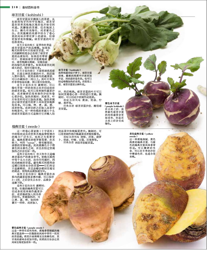 [醉染正版][QG]生活-DK生活食材百科全书 营养速查 2500种原材料介绍搭配彩高清大图