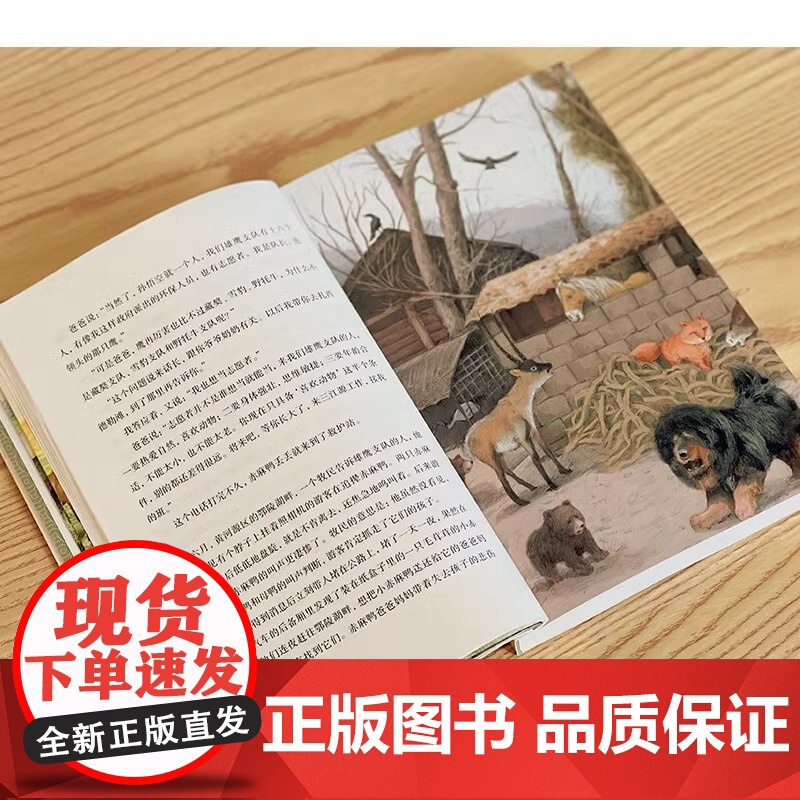 2023广东省暑假读一本好书三江源的扎西德勒藏地少年杨志军成长励志故事书中小学生课外阅读6-9-12岁青少年文学读物三四高清大图