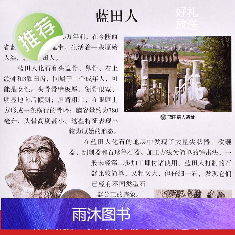 全套4册中华上下五千年书正版原版完整版ZM 小学生初中生青少年版彩绘本历史书中国写给儿童的中华上下5000年书林汉达高清大图