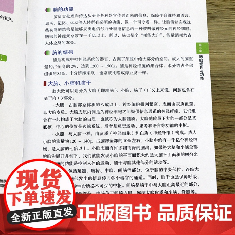 [2册]3D人体解剖图+3D人体解剖百科手册 全彩解剖学图谱人体生理学人体解剖图谱局部解剖学人体解剖学一本书读懂人体知识高清大图