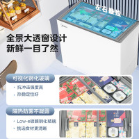 美的(Midea)300升商用冰柜冷柜展示柜小型冰箱冷冻柜雪糕饮料水果冷藏保鲜柜MS-305LGE