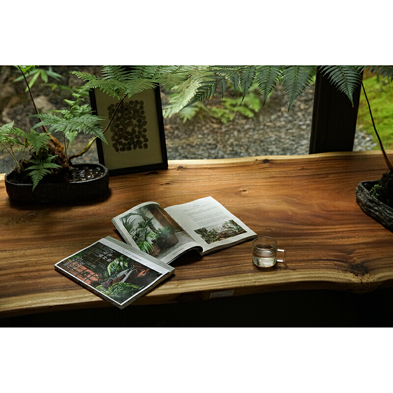 [醉染正版]3册 在家森呼吸-室内绿植手册+干燥植物+永生植物 茹茹萍 日常养护技巧风格搭配指南 养花书籍 花艺设计家庭高清大图