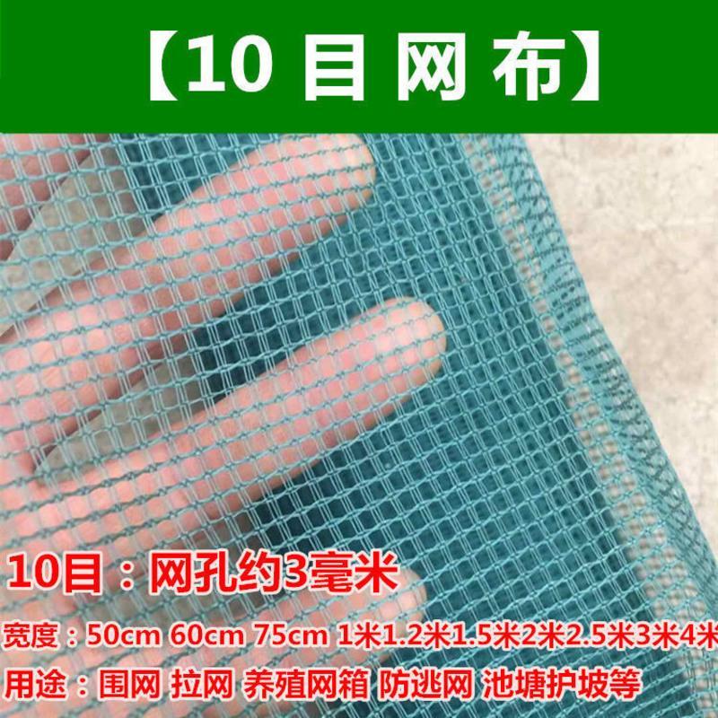 捕渔网布龙虾螃蟹泥鳅黄鳝青蛙养殖围网防逃养鱼网箱加厚塑料网片 10目0.5米高 10米长网布