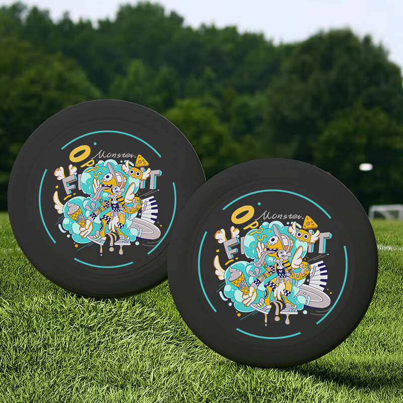 宏太(HongTai)飞盘175g运动户外极限健身专业成人竞技比赛级躲避盘450FP-08白色高清大图
