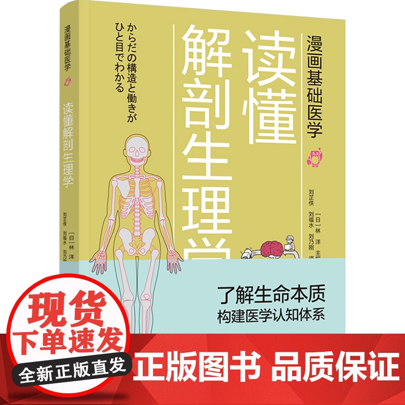 生活-漫画基础医学:读懂解剖生理学 营养圣经 只有医生知道 出版即重印 入门医学硬科普 了解生命本质 揭秘人体构高清大图