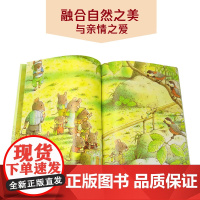 [正版]14只老鼠图画书系列第一辑全6册儿童治愈童话绘本故事 二三四年级暑假课外书6-12岁小学生经典外国儿童文学图画故