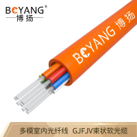 博扬（BOYANG）BY-GJFJV-12A112芯多模室内光纤62.5/125GJFJV束状软光缆100米可定制长度
