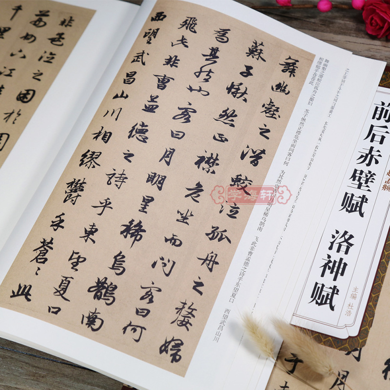 赵体赵孟俯行书毛笔字帖书法成人临摹古帖简体旁注原碑原贴籍安徽美术