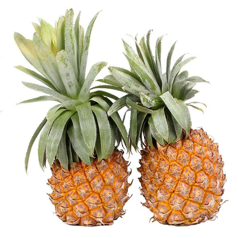 小菠萝 新鲜菠萝 带皮小菠萝 9斤(5斤送4斤) 8到12个左右 新鲜香 凤梨图片