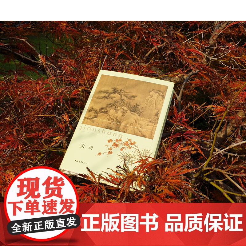 宋词(精装上下册) 历代名词鉴赏 古诗词 古典文学 词学 苏轼 柳永 辛弃疾 李清照 古诗词 上海辞书出版社高清大图
