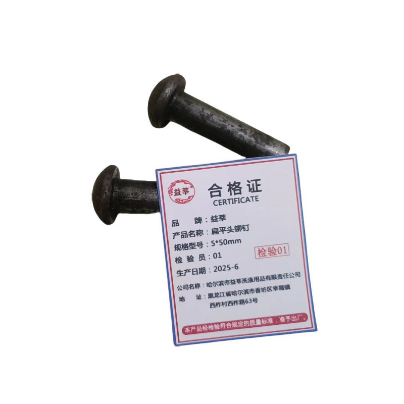 益莘 扁平头铆钉 5*50mm 个高清大图