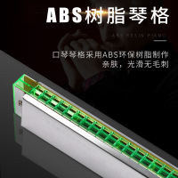 SWAN天鹅24孔单音C大调口琴 儿童初学复音成人自学 老师教学 高级演奏吹奏绿色乐器