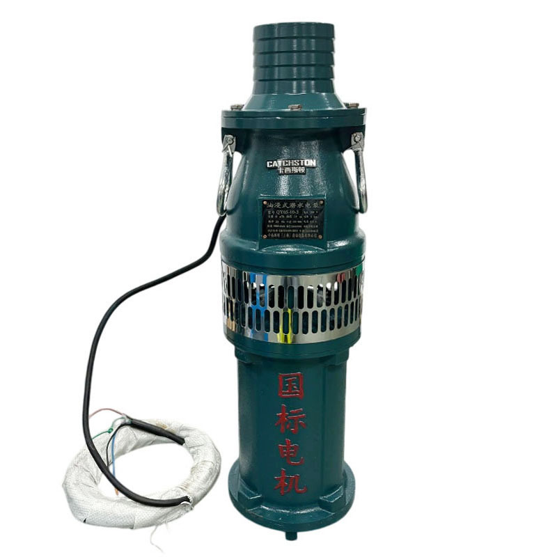 卡西斯顿 油浸式潜水泵 QY260-8-7.5 台高清大图