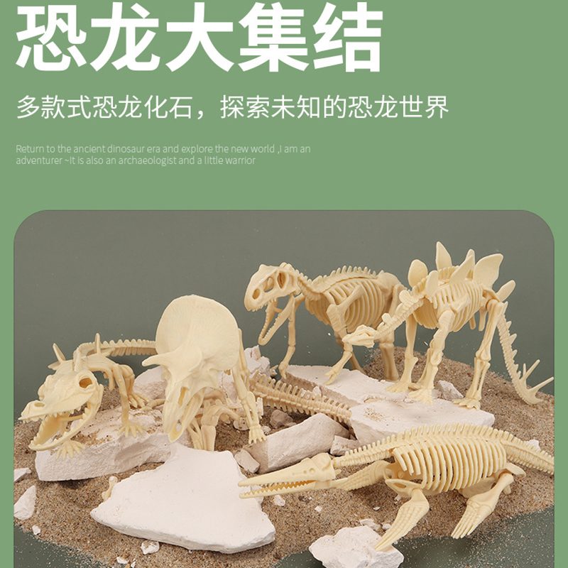 企业专享 金泊来 考古挖掘玩具套装 起订量50