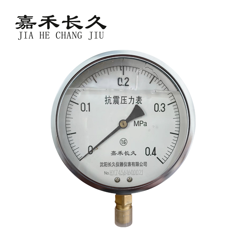 嘉禾长久 耐震压力表检测型 YTN150 块高清大图