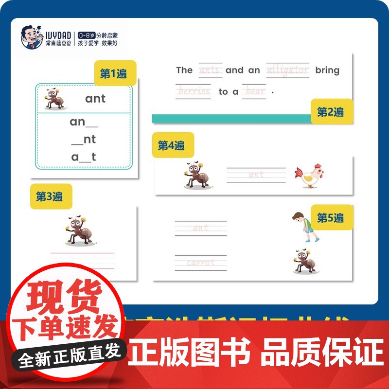 常青藤爸爸KET单词训练营第1/2/3级全套12册儿童英语绘本英文分级阅读幼儿园小学生一二年级单词书卡片记背神器幼儿英语高清大图